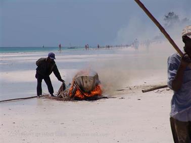 KENYA_2007,_Diani_Beach,_Southern Palms DSC06148H488